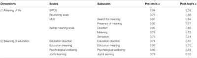 Meaning of Education and Wellbeing: Understanding and Preventing the Risk of Loss of Meaning in Students